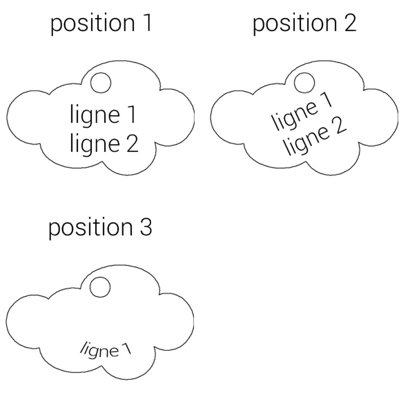 Cliquer pour agrandir