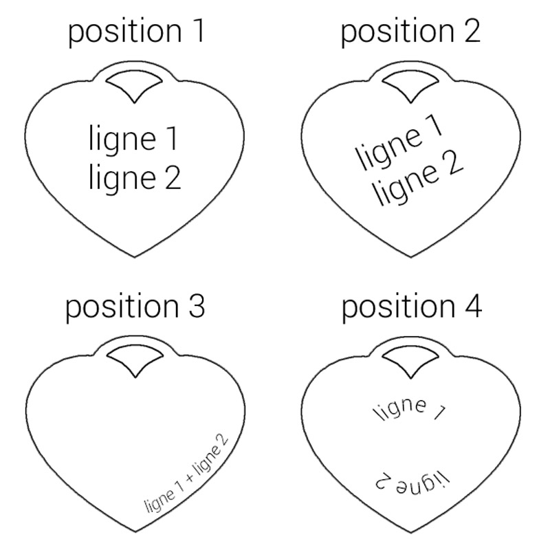 Cliquer pour agrandir